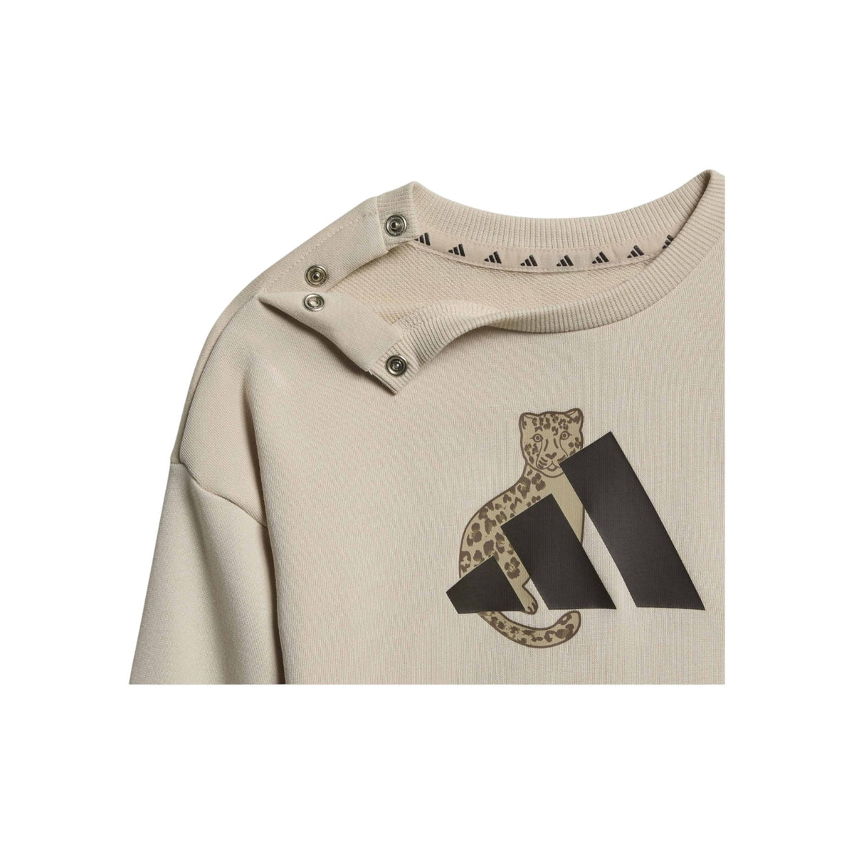 ADIDASFW26/quality-sport-completo-adidas-KC9644-2.jpg