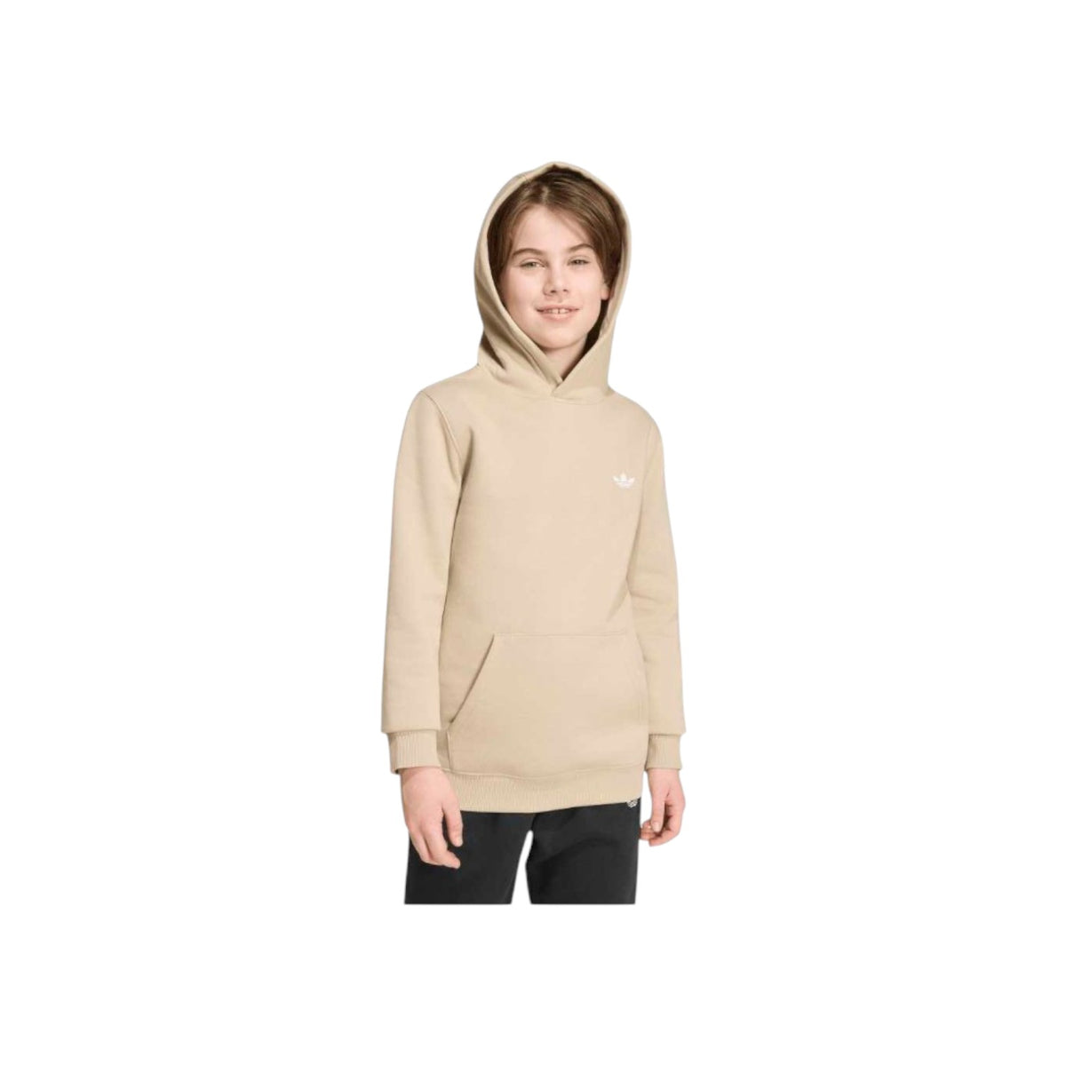 ADIDASORIGFW26/quality-sport-felpa-adidas-originals-KR0881-1.jpg