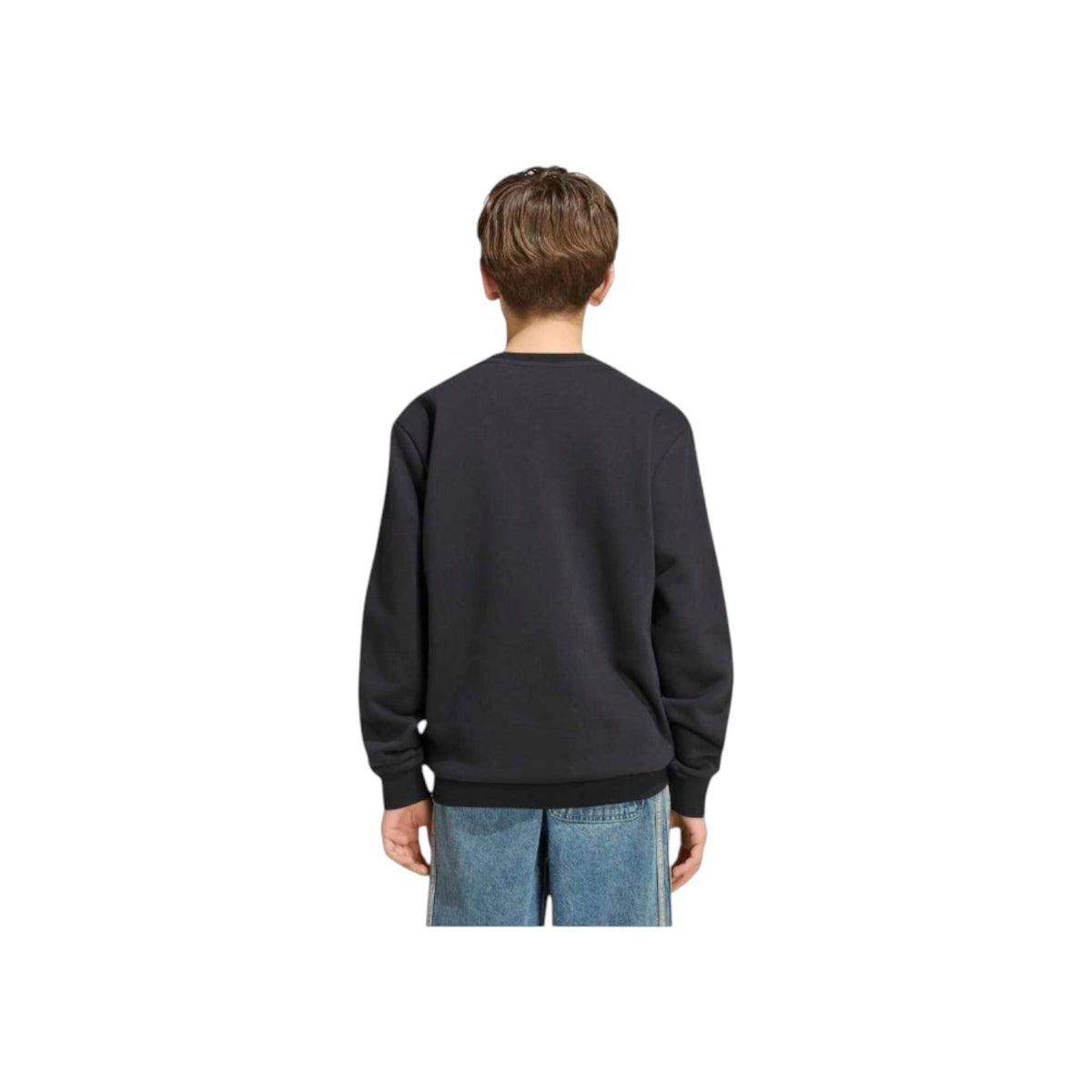 ADIDASORIGFW26/quality-sport-felpa-adidas-originals-KR6517-2.jpg