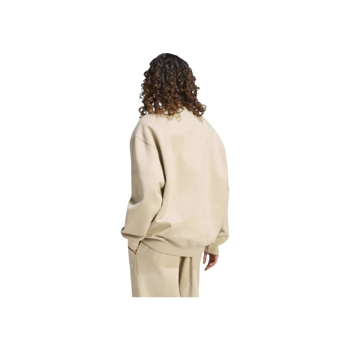 ADIDASORIGFW26/quality-sport-felpa-adidas-originals-KW0197-3.jpg