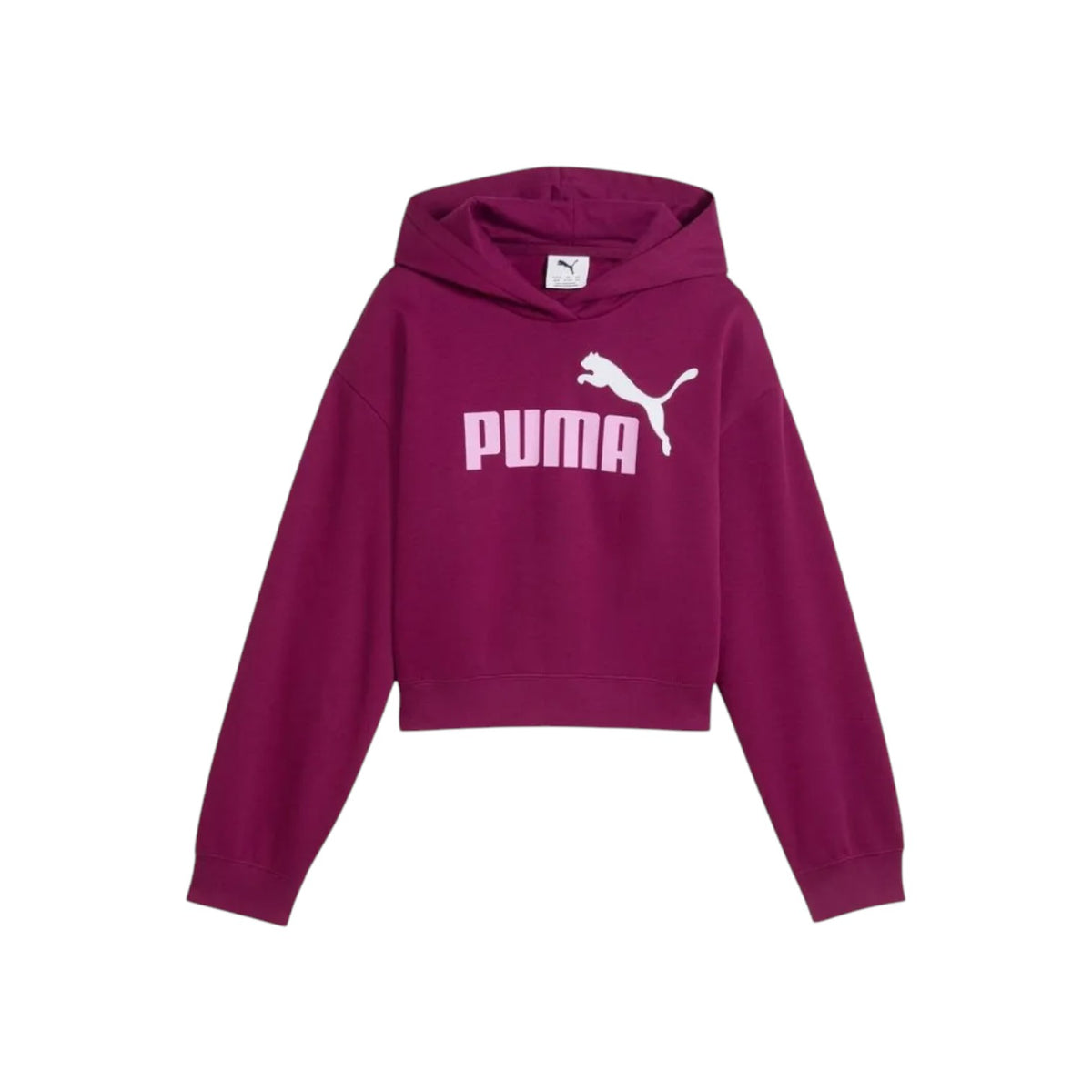 PUMAFW26/quality-sport-felpa-con-cappuccio-puma-690717-41-1.jpg