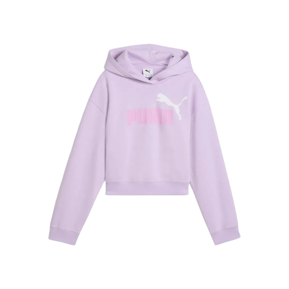 PUMAFW26/quality-sport-felpa-con-cappuccio-puma-690717-46-1.jpg