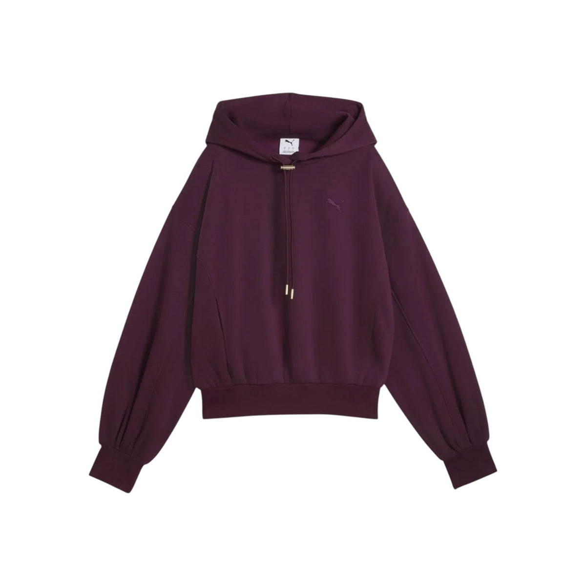 PUMAFW26/quality-sport-felpa-con-cappuccio-puma-694027-24-1.jpg