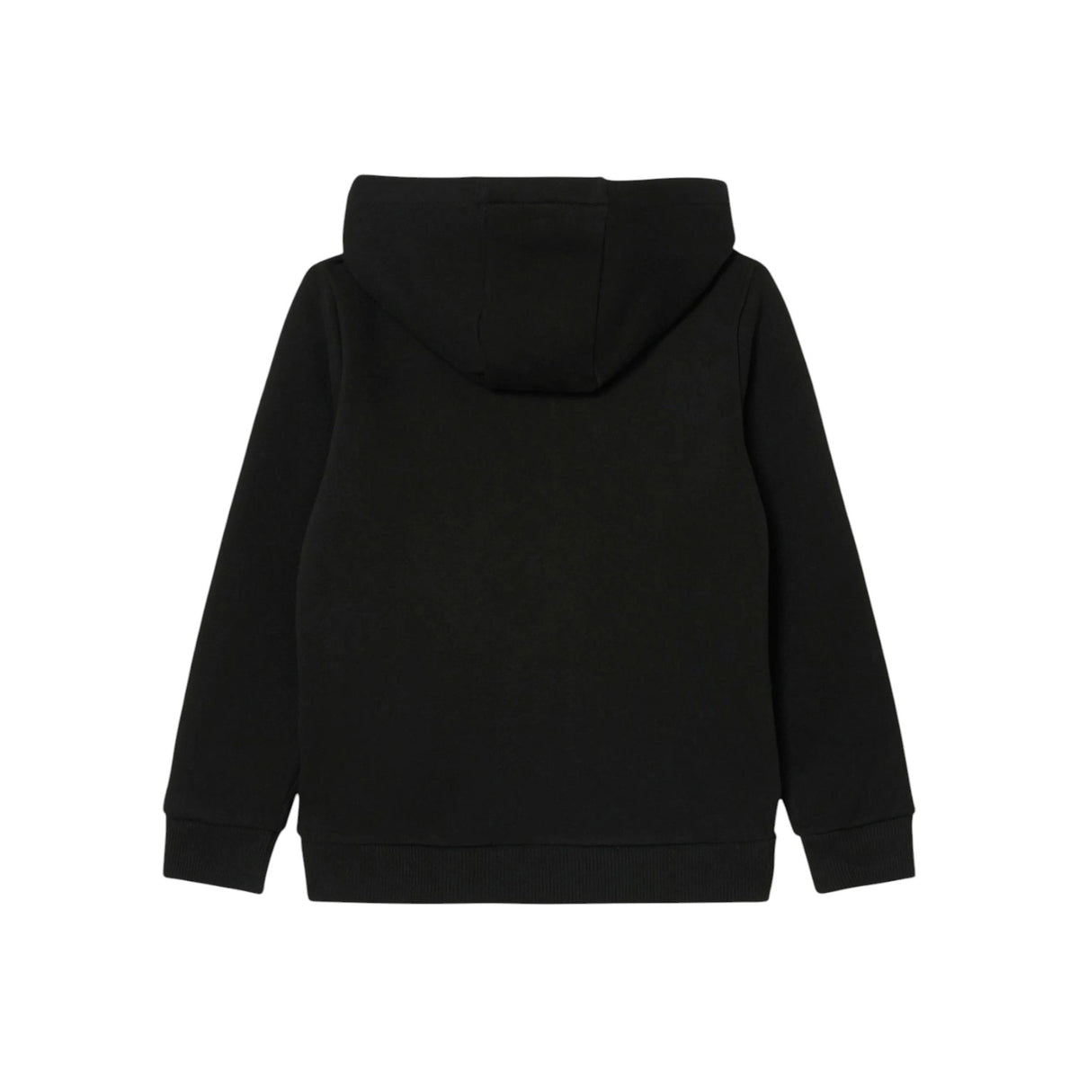LACOSTEFW26/quality-sport-felpa-lacoste-847027-K96-2.jpg