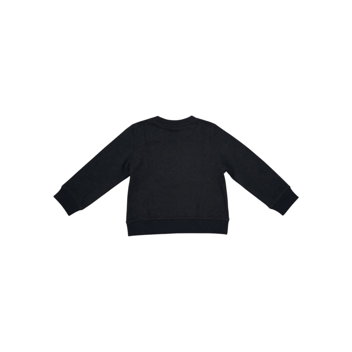 LACOSTEFW26/quality-sport-felpa-lacoste-847029-K96-2.jpg