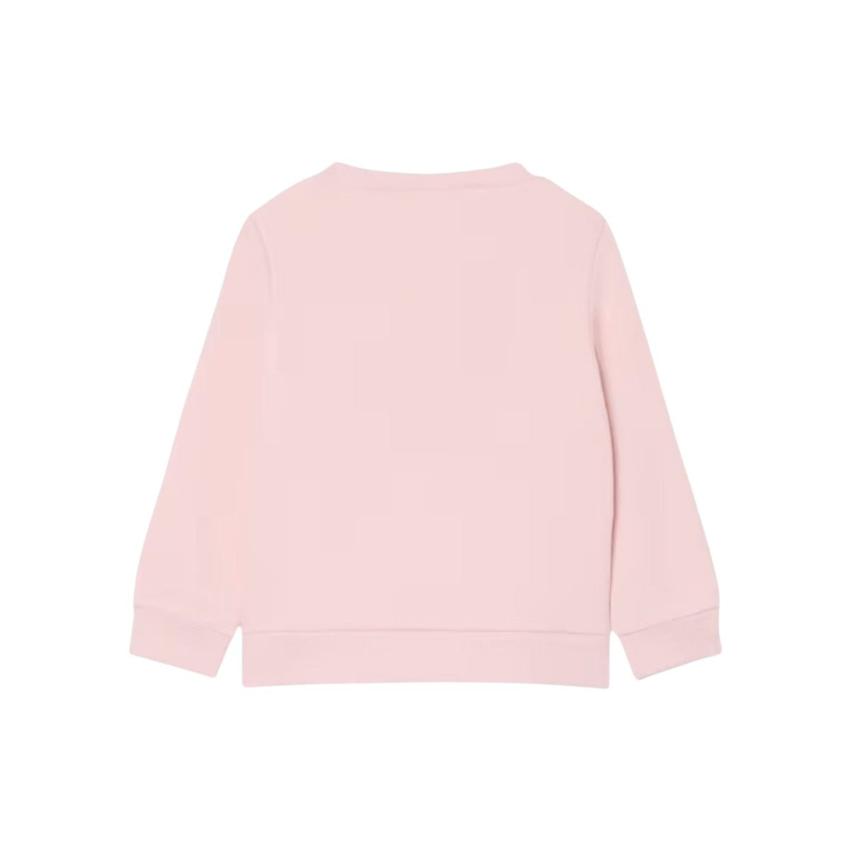 LACOSTEFW26/quality-sport-felpa-lacoste-847880-AL5-2.jpg