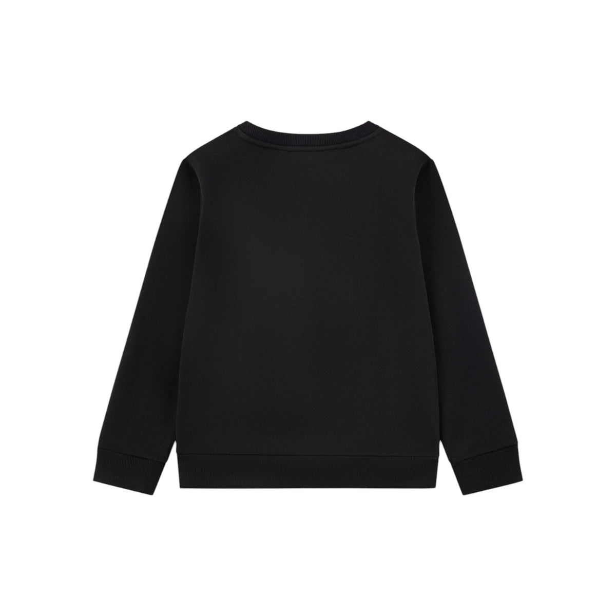 LACOSTEFW26/quality-sport-felpa-lacoste-847880-K96-2.jpg