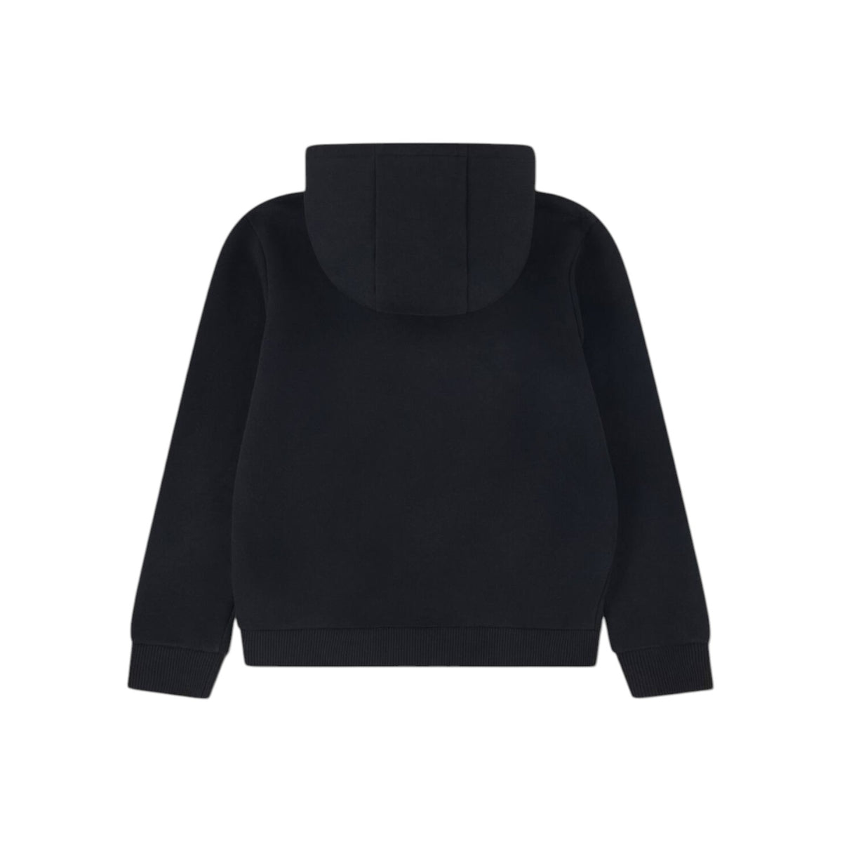 LACOSTEFW26/quality-sport-felpa-lacoste-947028-K96-2.jpg