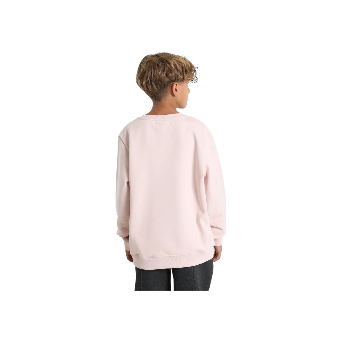 LACOSTEFW26/quality-sport-felpa-lacoste-947029-AL5-2.jpg