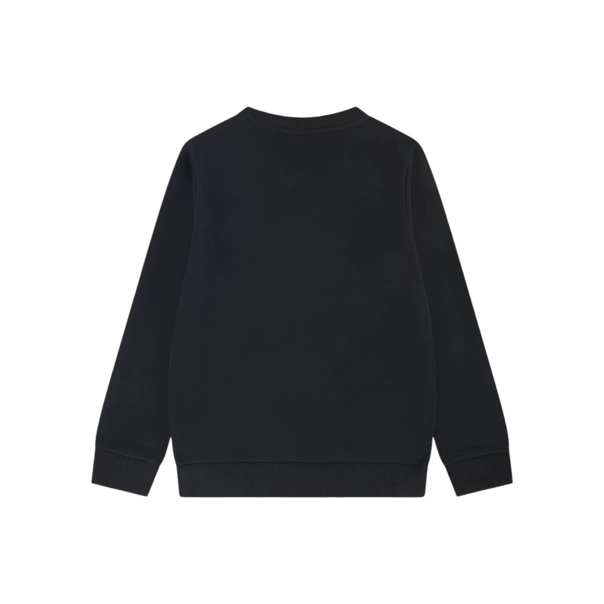 LACOSTEFW26/quality-sport-felpa-lacoste-947029-K96-2.jpg