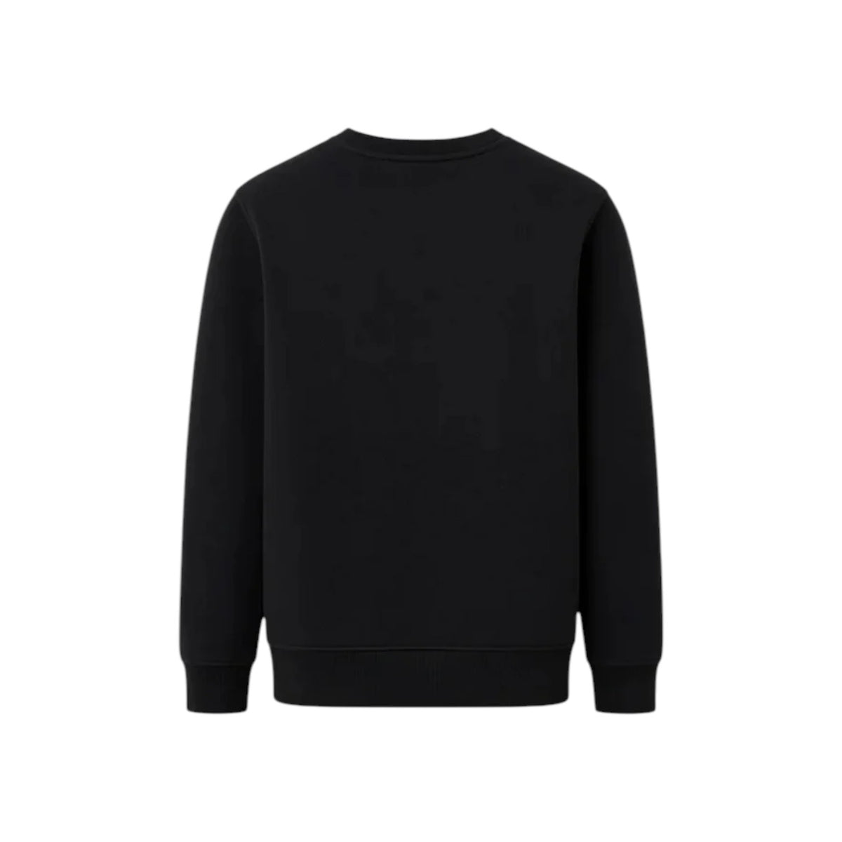 LACOSTEFW26/quality-sport-felpa-lacoste-947880-K96-2.jpg