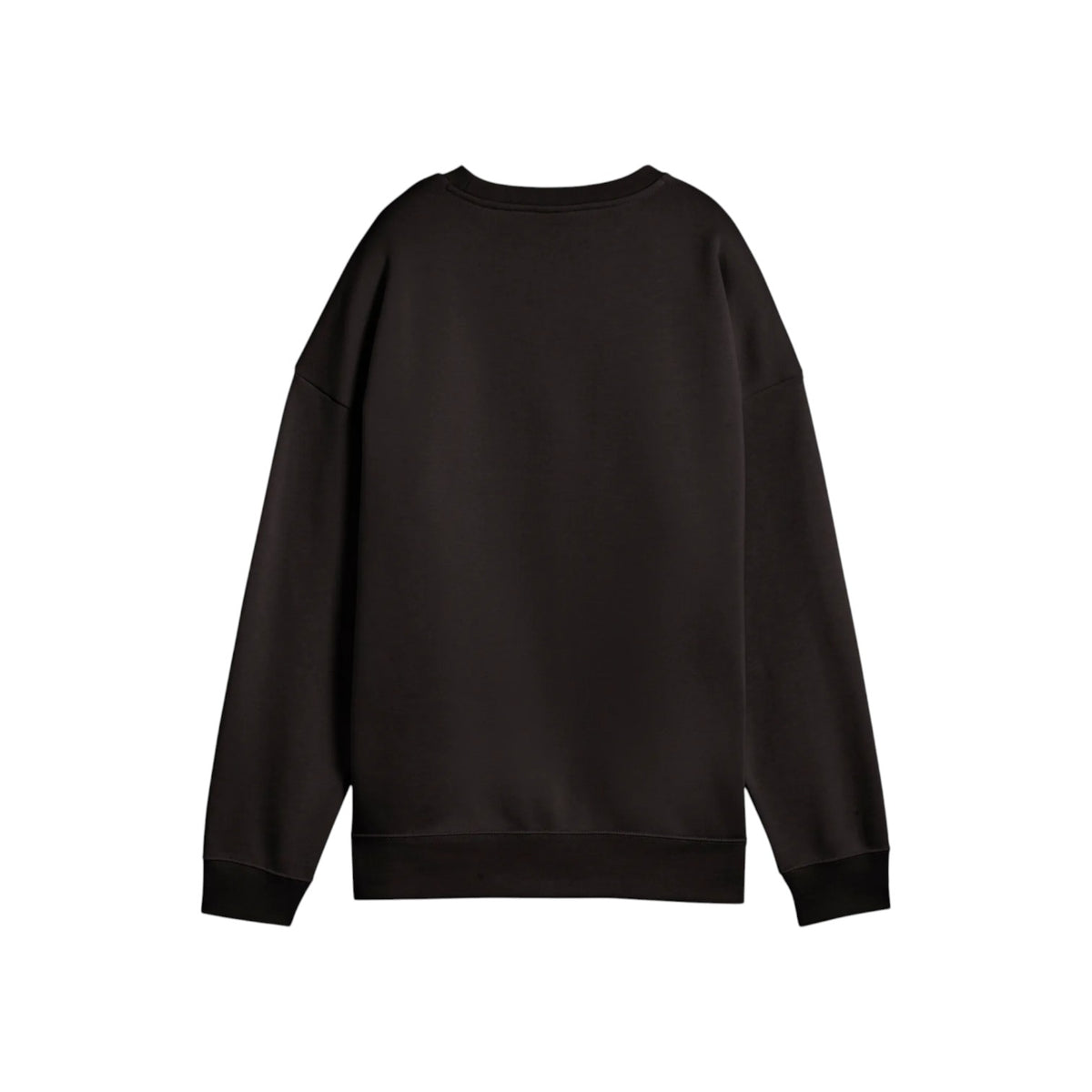 PUMAFW25/quality-sport-felpa-puma-685400-01-2.jpg