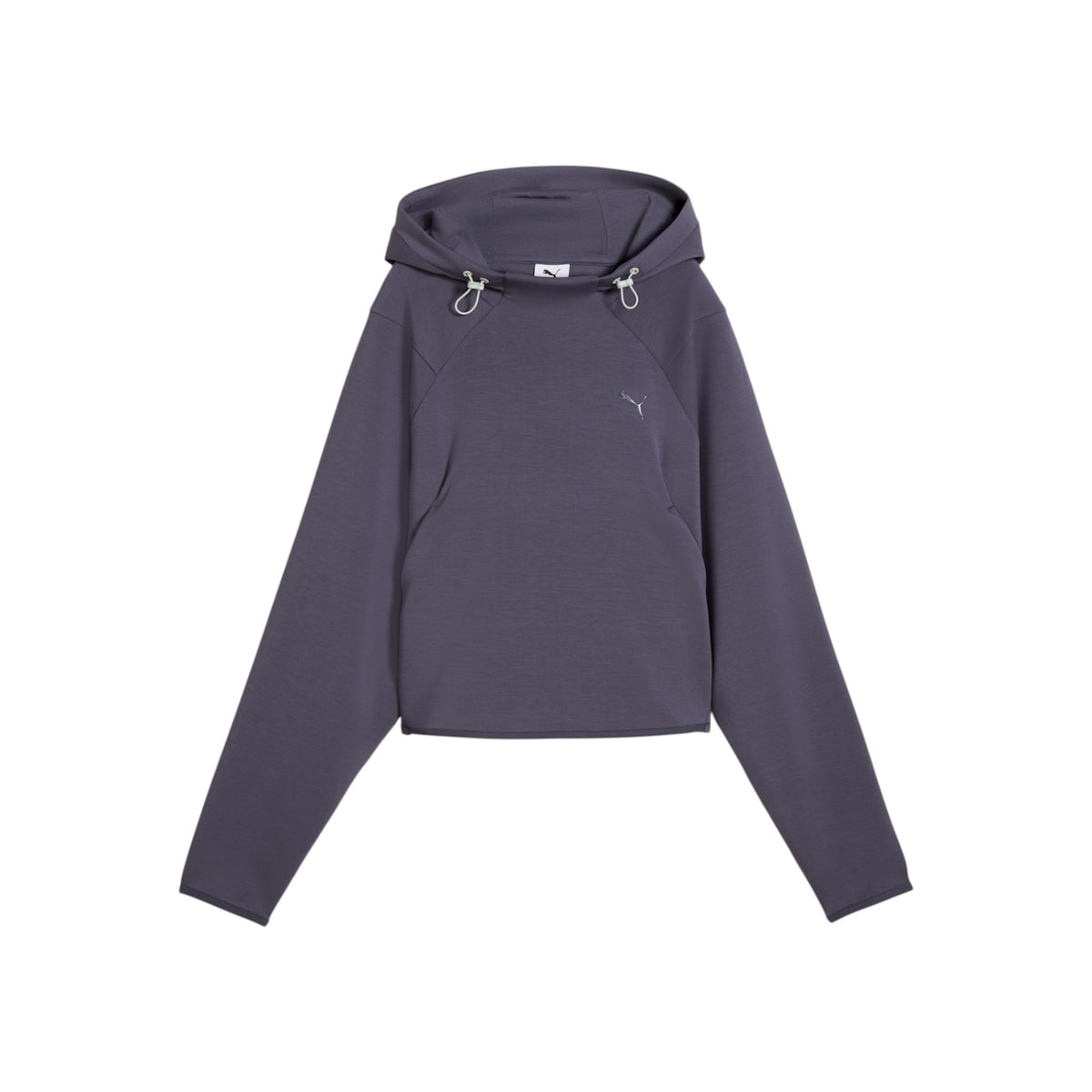 PUMAFW26/quality-sport-felpa-puma-694035-35-1.jpg