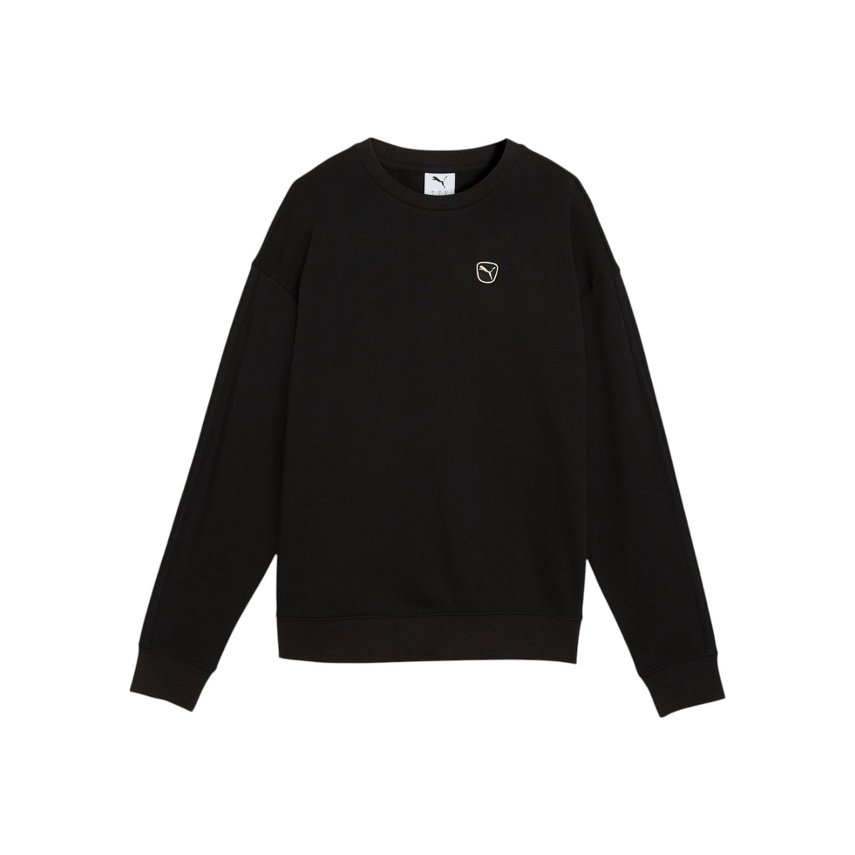 PUMAFW26/quality-sport-felpa-puma-694078-01-1.jpg