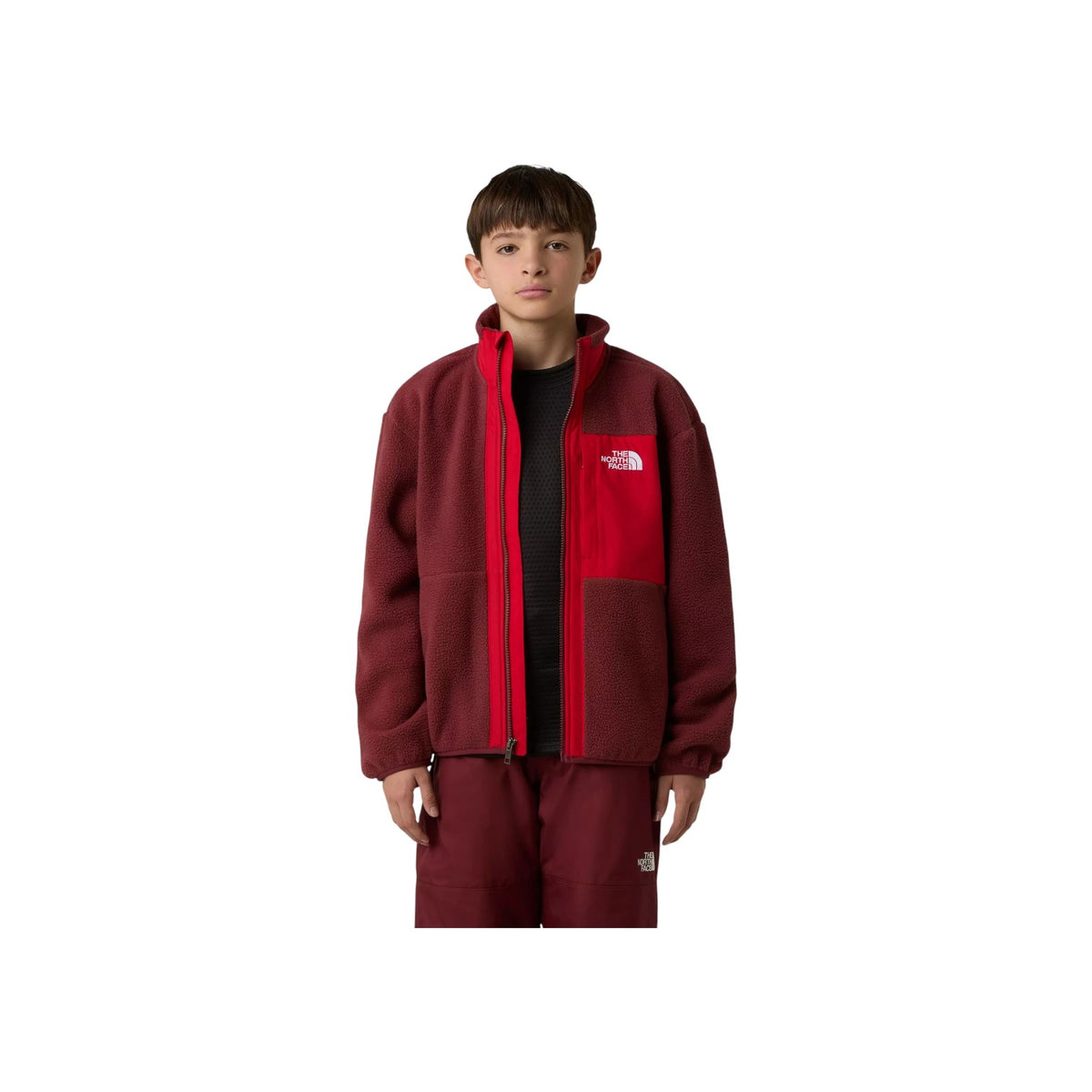 THENORTHFACEFW25/quality-sport-felpa-the-north-face-NF0A8AZGDI91-2.jpg