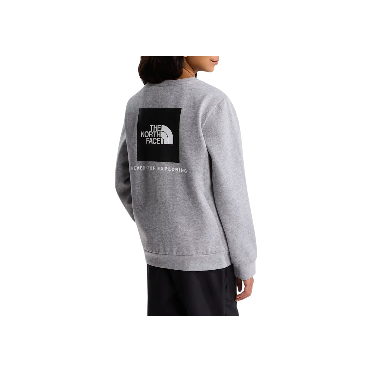 THENORTHFACEFW26/quality-sport-felpa-the-north-face-NF0A8F9WCQO1-2.jpg