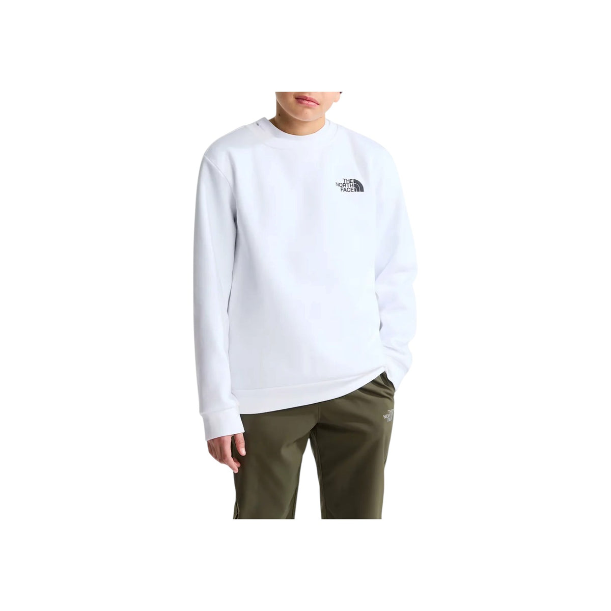 THENORTHFACEFW26/quality-sport-felpa-the-north-face-NF0A8F9WFN41-1.jpg