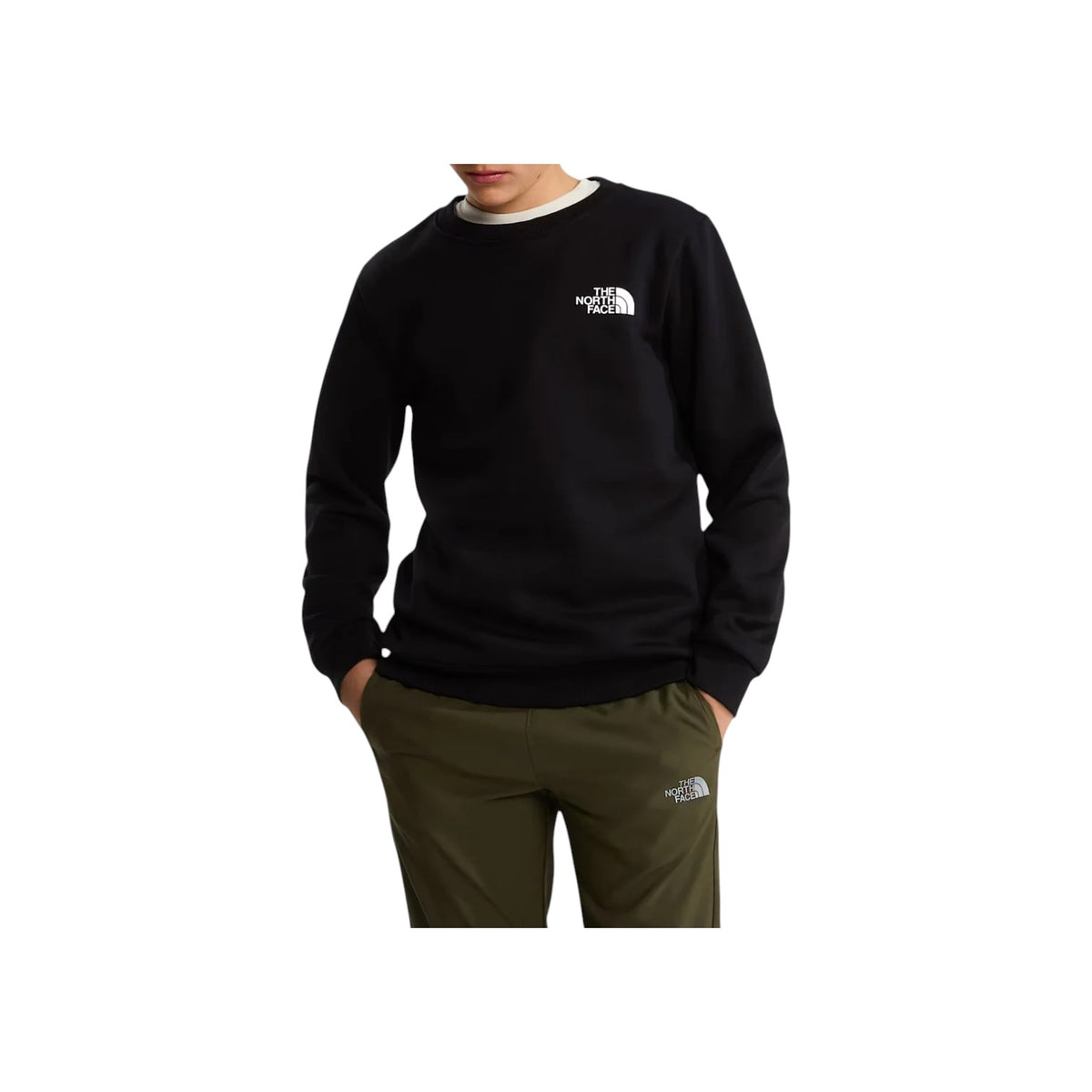 THENORTHFACEFW26/quality-sport-felpa-the-north-face-NF0A8F9WJK31-1.jpg