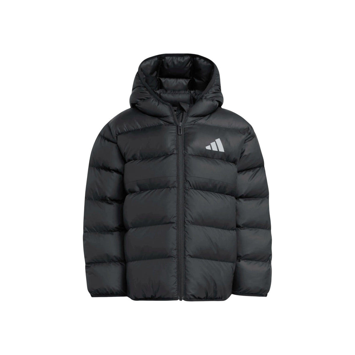 ADIDASFW25/quality-sport-giacca-adidas-JM8864-1.jpg