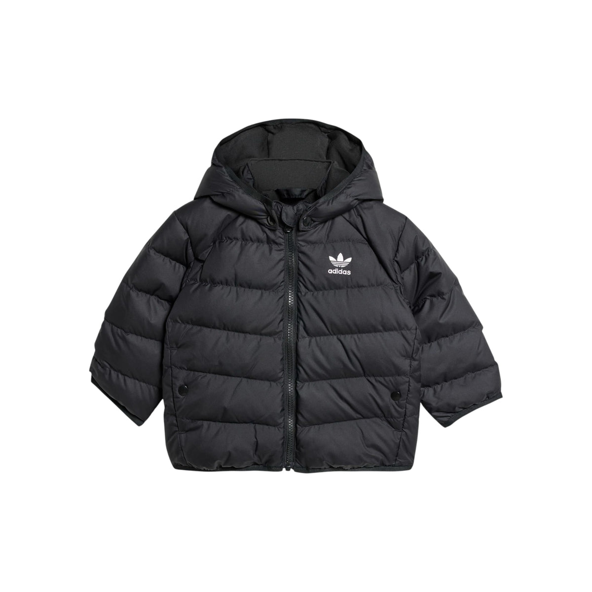 ADIDASORIGFW25/quality-sport-giacca-adidas-originals-IX7493-1.jpg