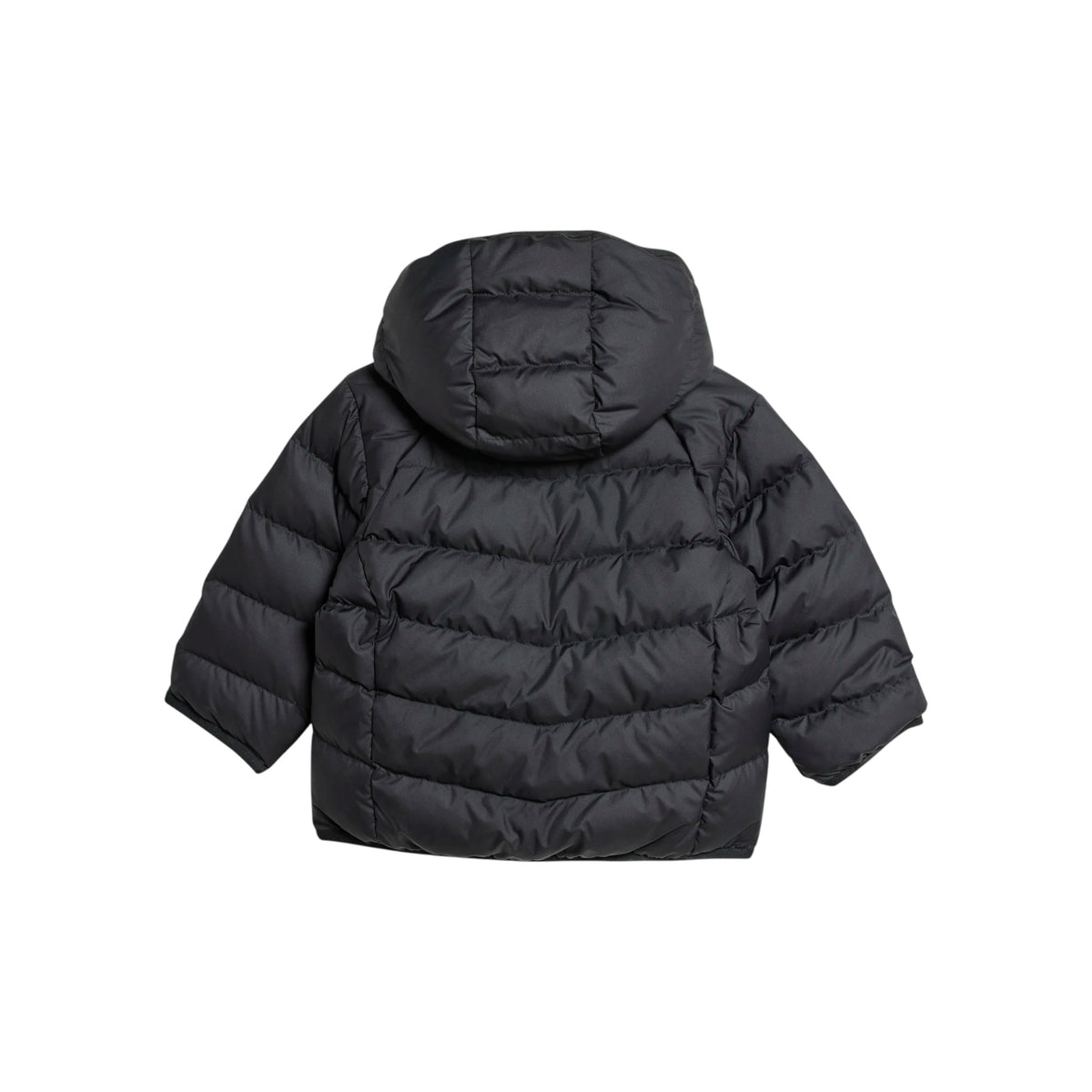 ADIDASORIGFW25/quality-sport-giacca-adidas-originals-IX7493-2.jpg