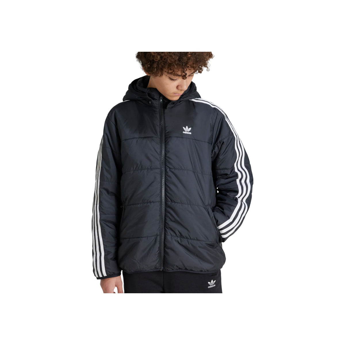 ADIDASORIGFW25/quality-sport-giacca-adidas-originals-IY7497-2.jpg