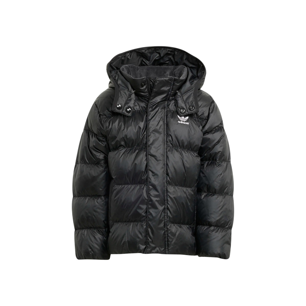 ADIDASORIGFW25/quality-sport-giacca-adidas-originals-JX0550-1.jpg