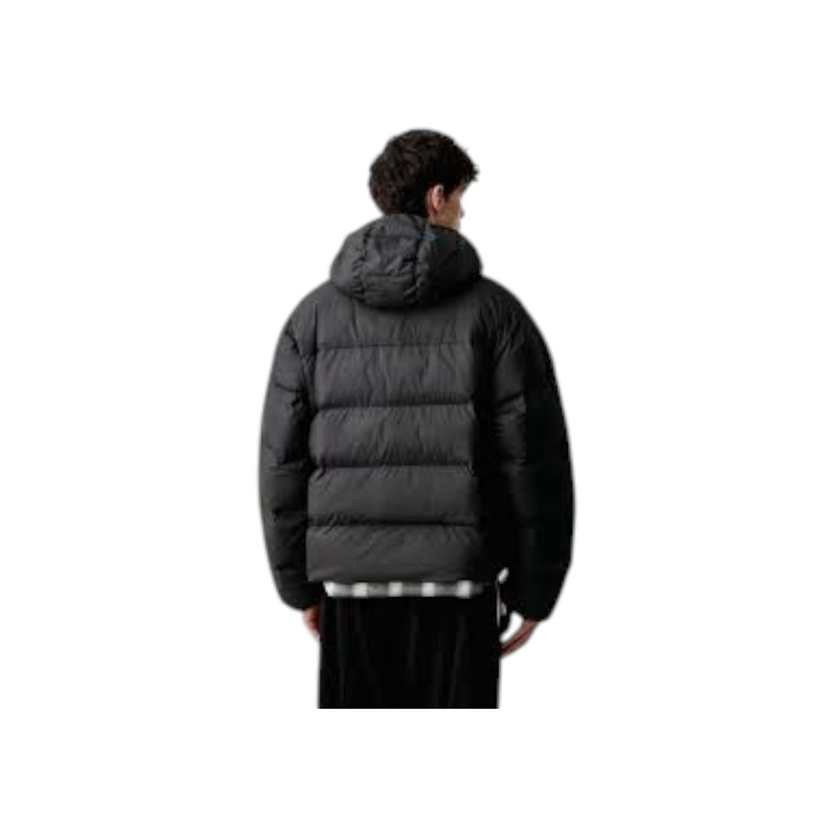 ADIDASORIGFW26/quality-sport-giacca-adidas-originals-KR7199-2.jpg
