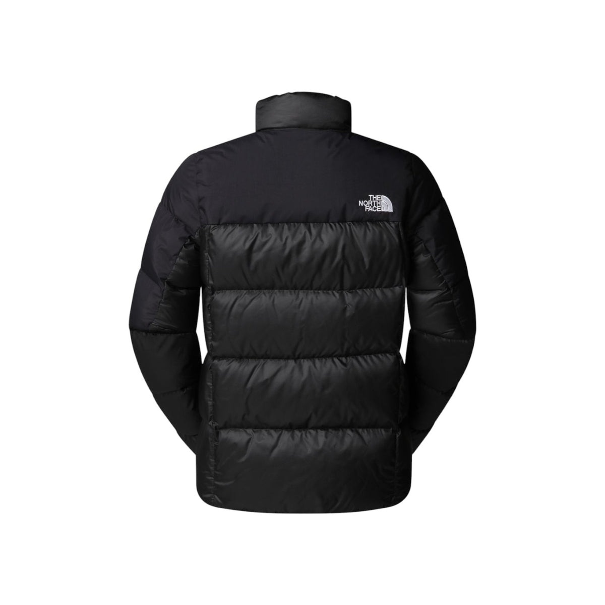 THENORTHFACEFW25/quality-sport-giacca-the-north-face-NF0A8E14PH51-2.jpg