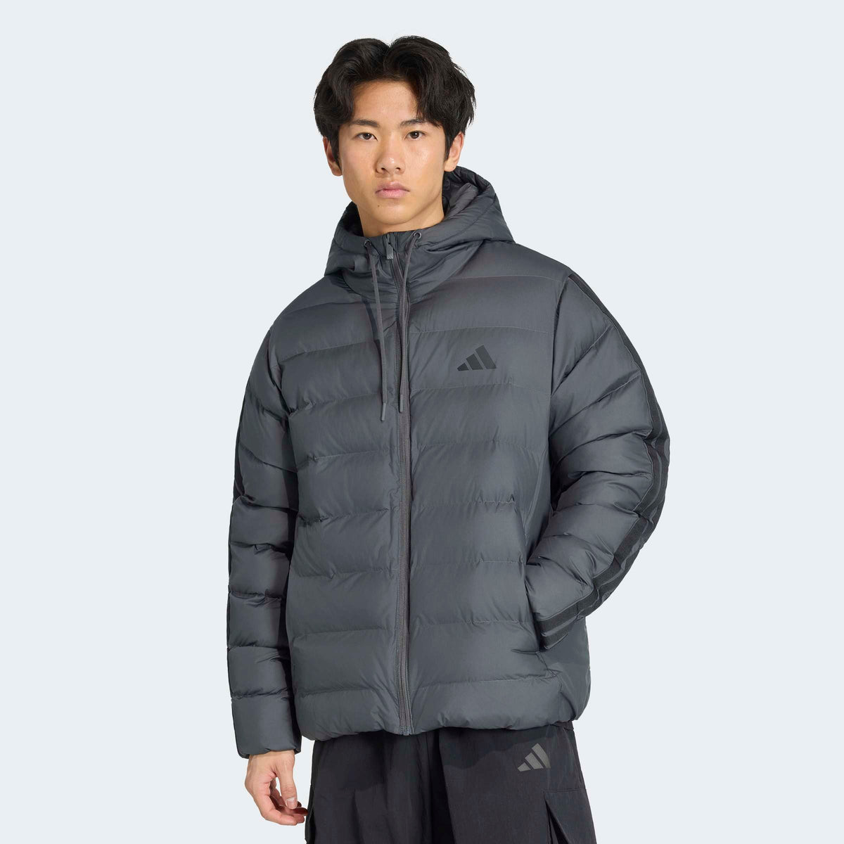 ADIDASFW26/quality-sport-giubbotto-adidas-KE0253-1.jpg