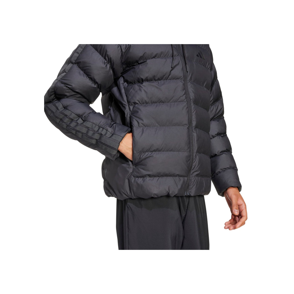 ADIDASFW26/quality-sport-giubbotto-adidas-KE8328-3.jpg