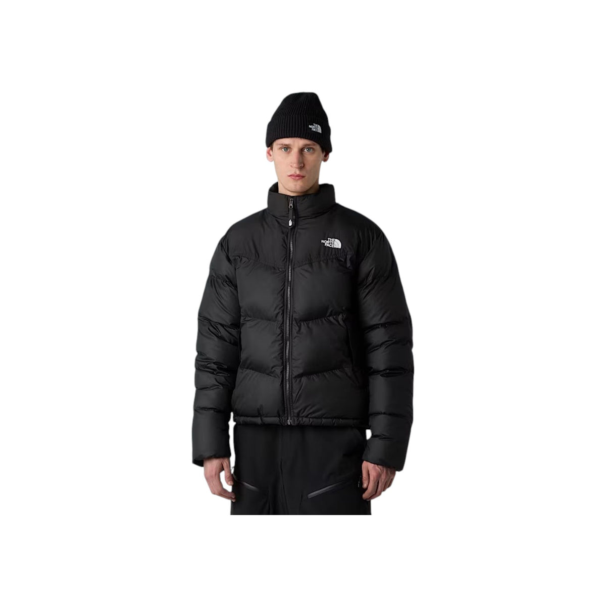 THENORTHFACEFW26/quality-sport-giubbotto-the-north-face-NF0A853IJK31-1.jpg