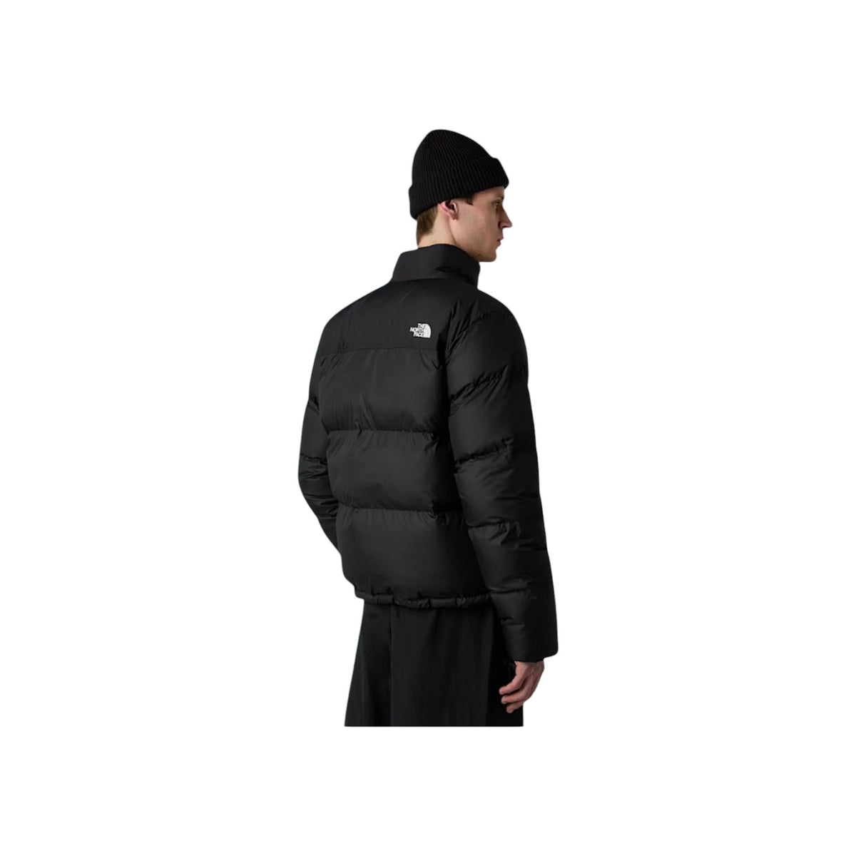 THENORTHFACEFW26/quality-sport-giubbotto-the-north-face-NF0A853IJK31-2.jpg
