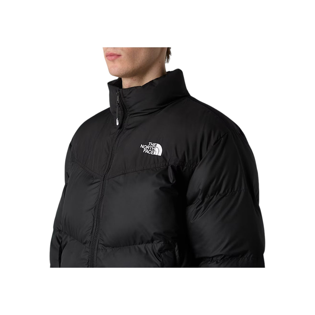 THENORTHFACEFW26/quality-sport-giubbotto-the-north-face-NF0A853IJK31-3.jpg