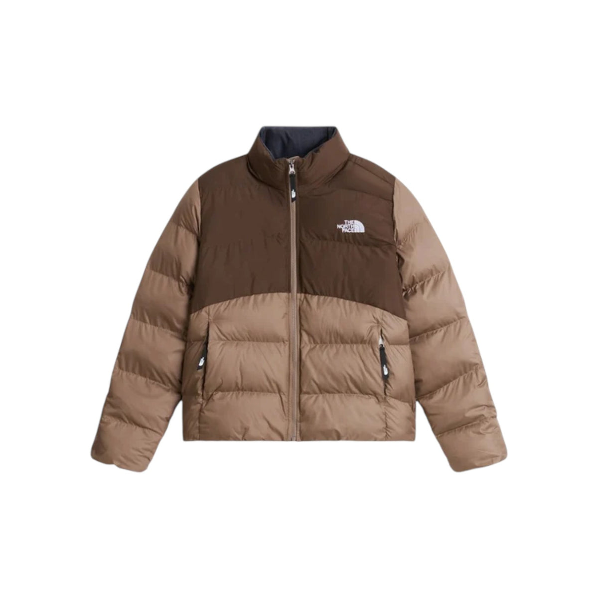 THENORTHFACEFW26/quality-sport-giubbotto-the-north-face-NF0A8GCBT061-1.jpg
