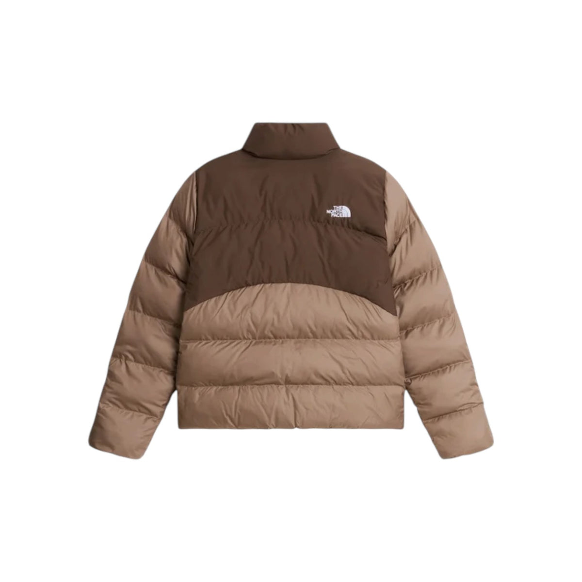 THENORTHFACEFW26/quality-sport-giubbotto-the-north-face-NF0A8GCBT061-2.jpg
