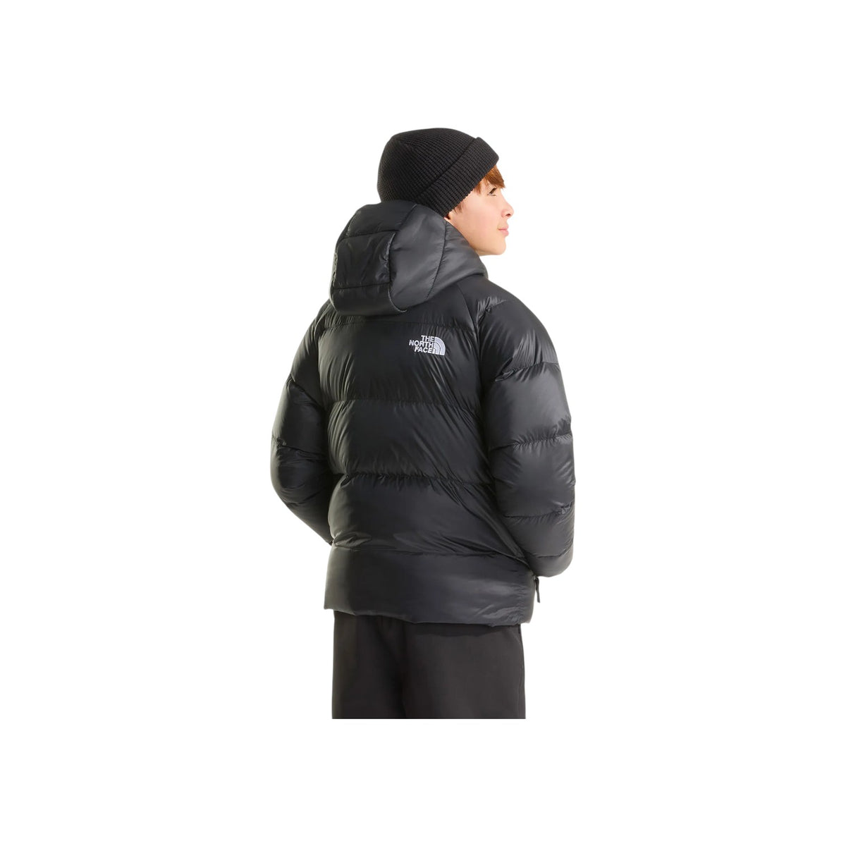 THENORTHFACEFW26/quality-sport-giubbotto-the-north-face-NF0A8H3RJK31-2.jpg