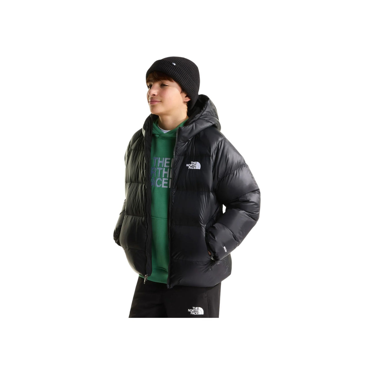 THENORTHFACEFW26/quality-sport-giubbotto-the-north-face-NF0A8H3RJK31-3.jpg