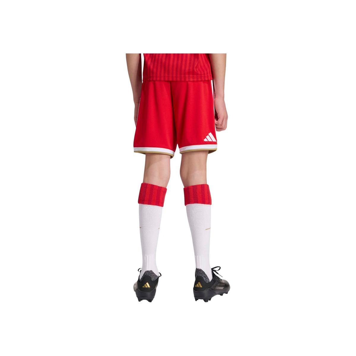ADIDASFW26/quality-sport-pantaloncini-adidas-JZ3084-2.jpg