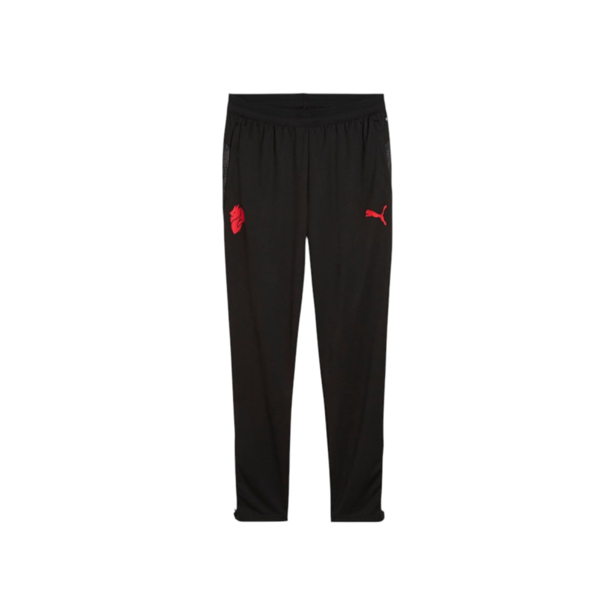 PUMAFW25/quality-sport-pantalone-tuta-puma-782374-04-1.jpg