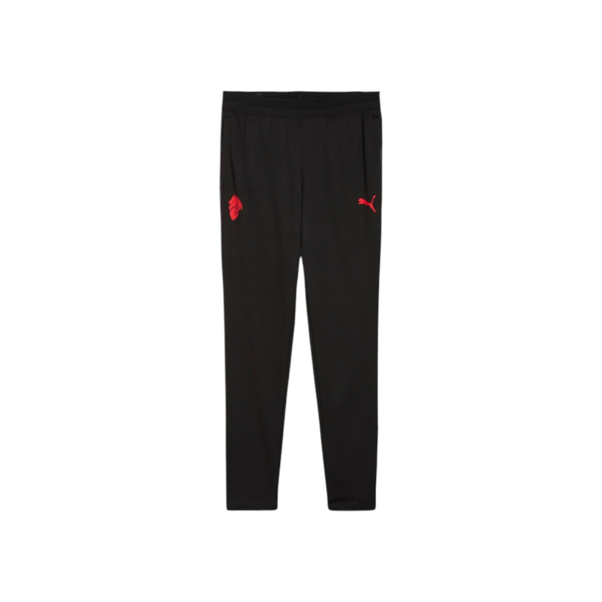 PUMAFW25/quality-sport-pantalone-tuta-puma-782375-04-1.jpg