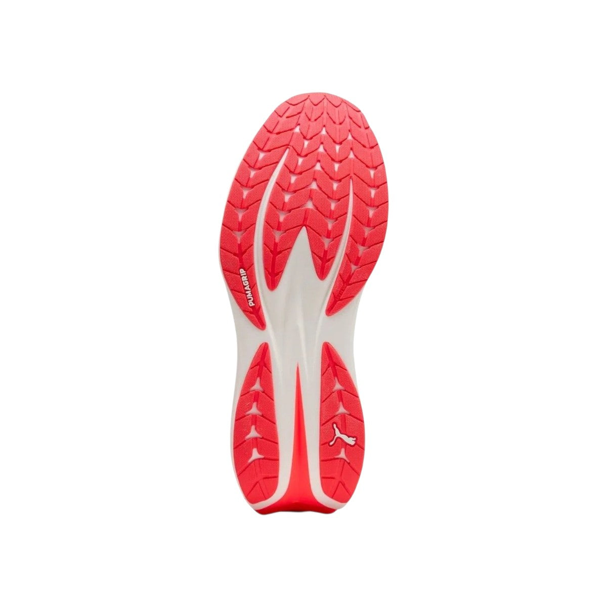 PUMAFW26/quality-sport-scarpe-da-running-puma-313904-06-3.jpg