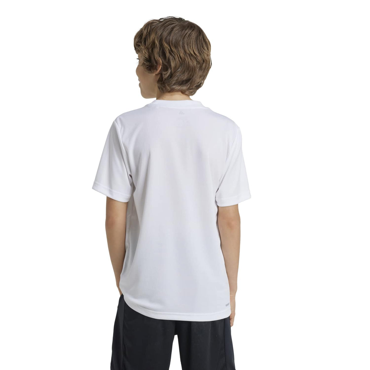 ADIDASFW26/quality-sport-t-shirt-adidas-IW0853-2.jpg