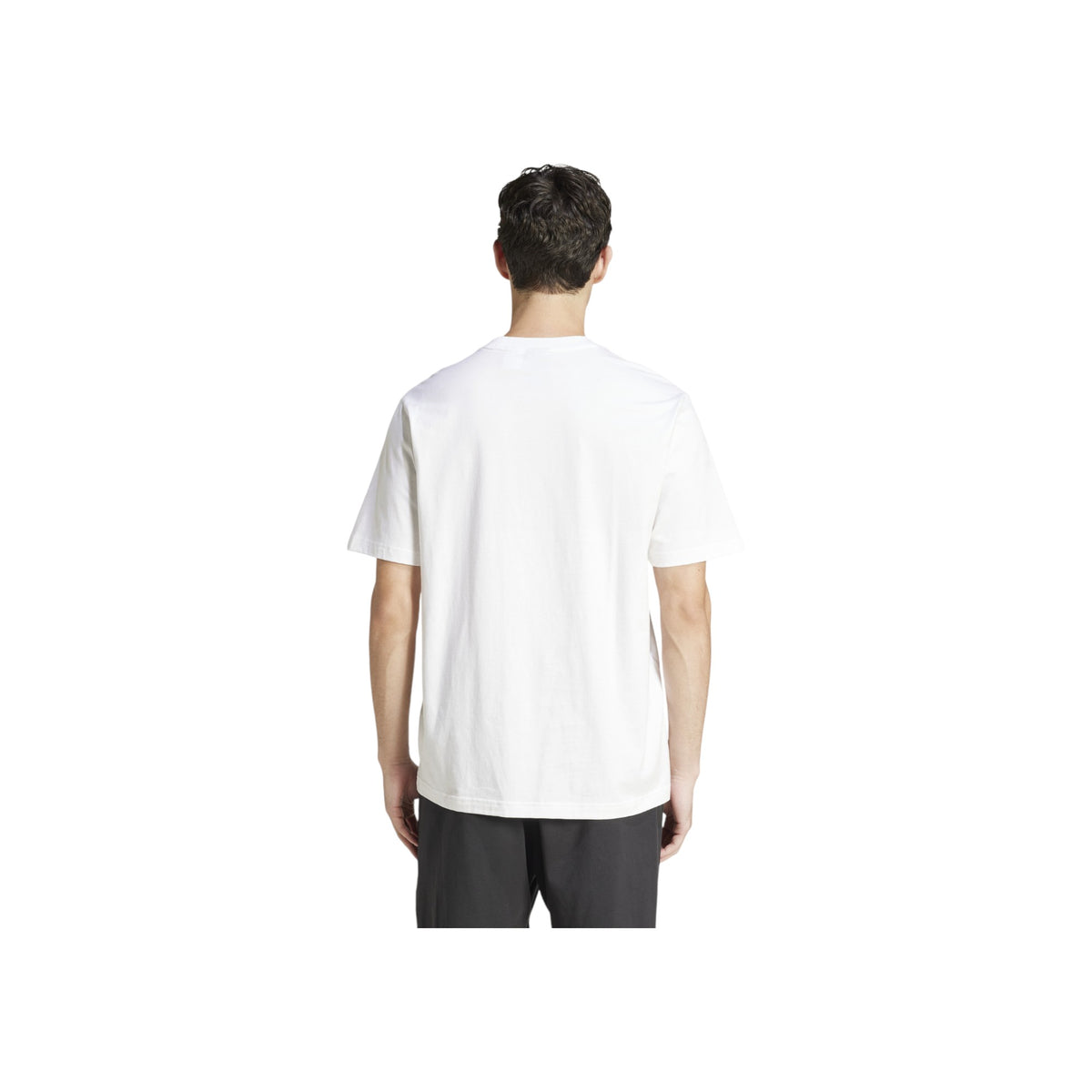 ADIDASFW25/quality-sport-t-shirt-adidas-JE9000-2.jpg