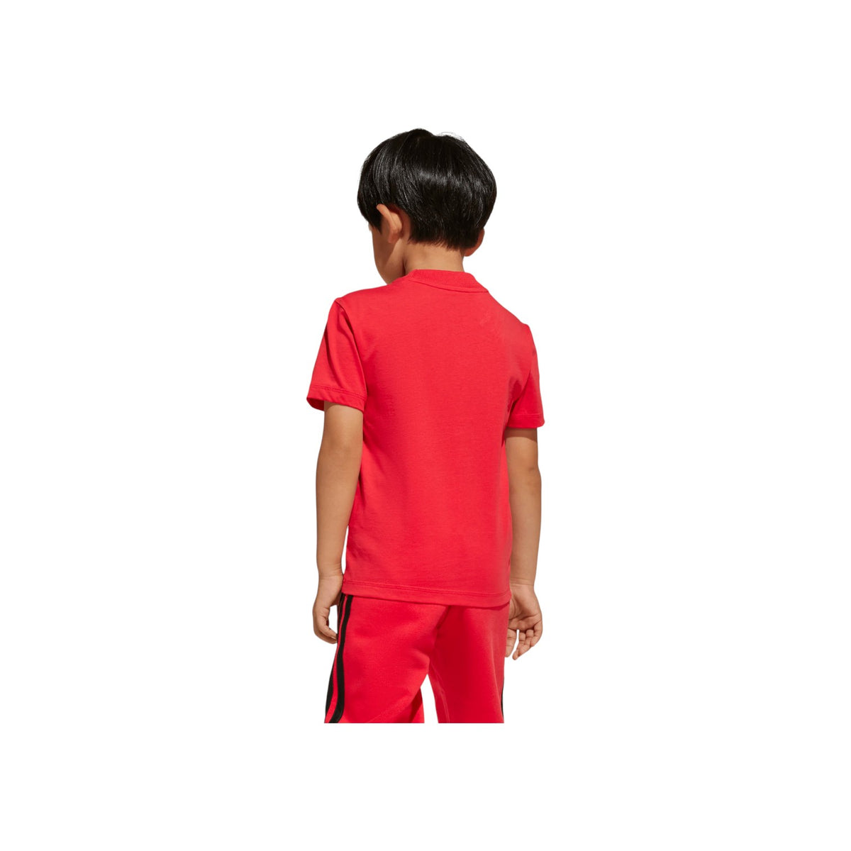 ADIDASFW25/quality-sport-t-shirt-adidas-JN8007-3.jpg