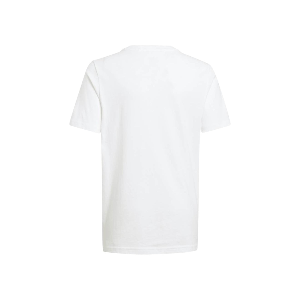 ADIDASORIGFW26/quality-sport-t-shirt-adidas-originals-IY5455-2.jpg