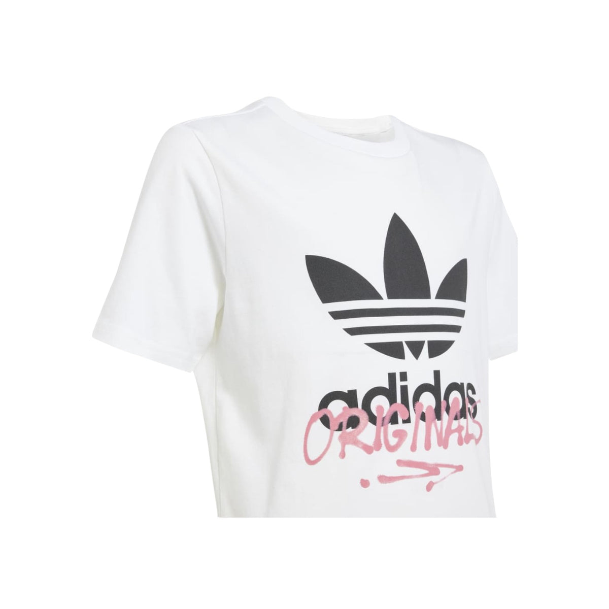 ADIDASORIGFW26/quality-sport-t-shirt-adidas-originals-IY5455-3.jpg