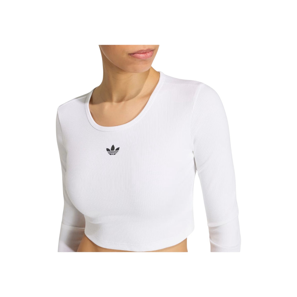 ADIDASORIGFW26/quality-sport-t-shirt-adidas-originals-KR1131-3.jpg