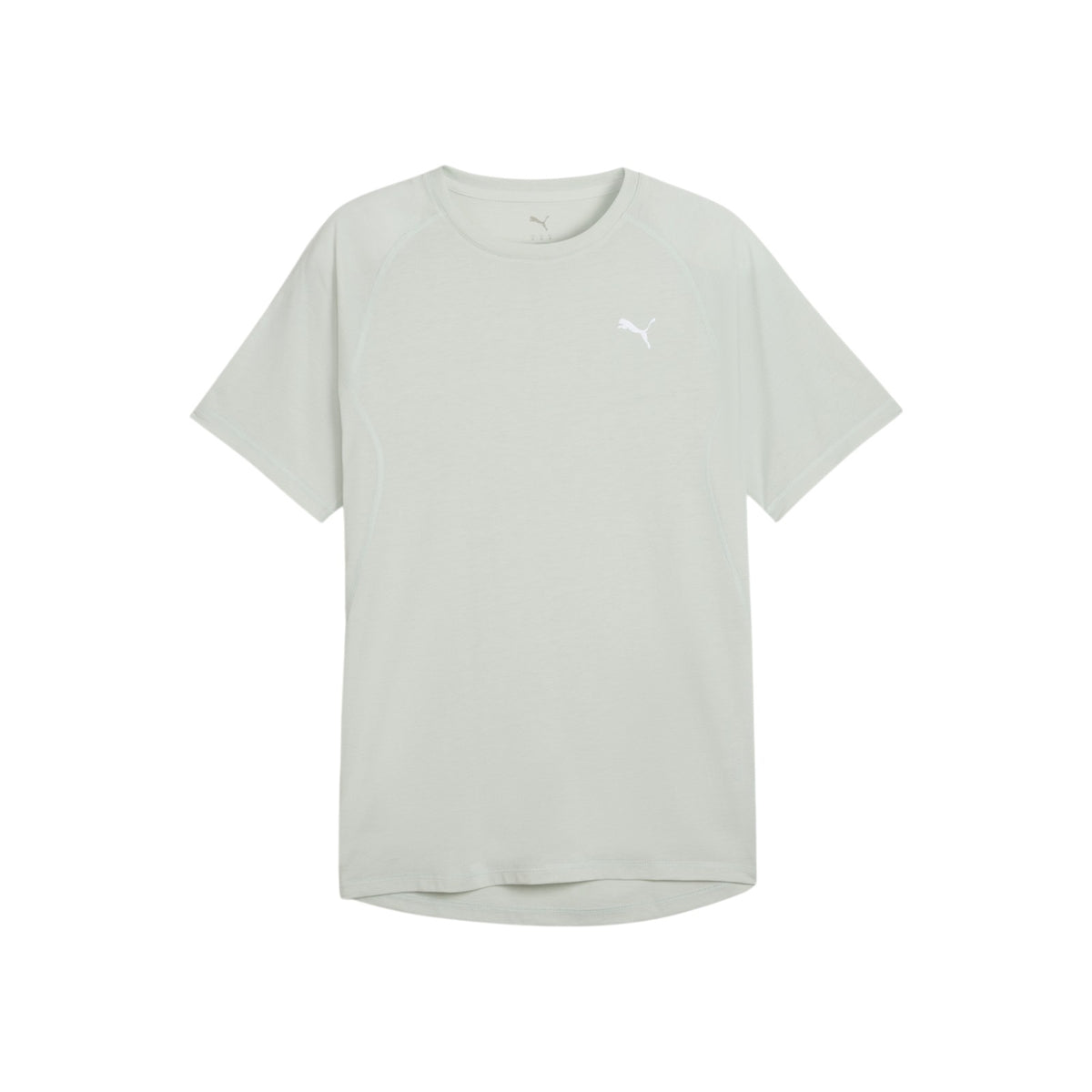 PUMAFW26/quality-sport-t-shirt-puma-526603-29-1.jpg