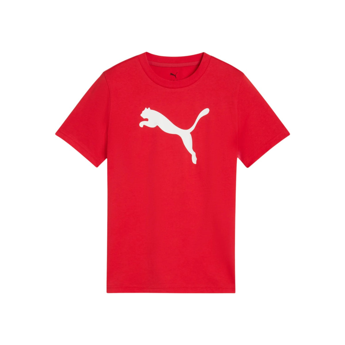 PUMASS25/quality-sport-t-shirt-puma-684907-11-1.jpg